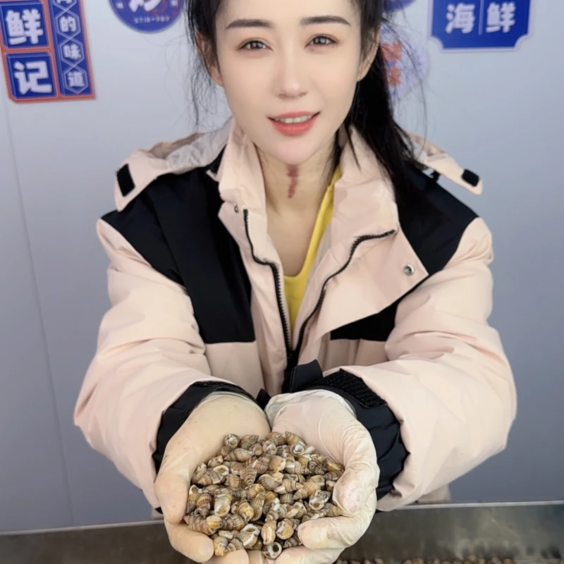 （新款中号）盘锦薄壳海锥儿海螺狮顺丰发货