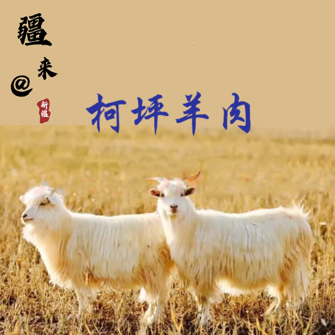 【疆来】正宗新疆柯坪小山羊好吃不膻  高原溜达羊 整扇精分礼盒装