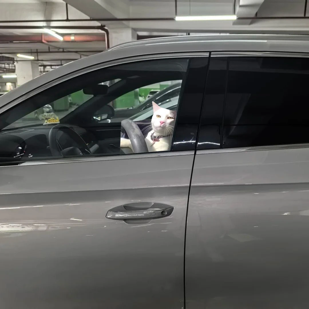 搞笑车贴开车猫meme表情包创意装饰机箱电动防水汽车贴纸