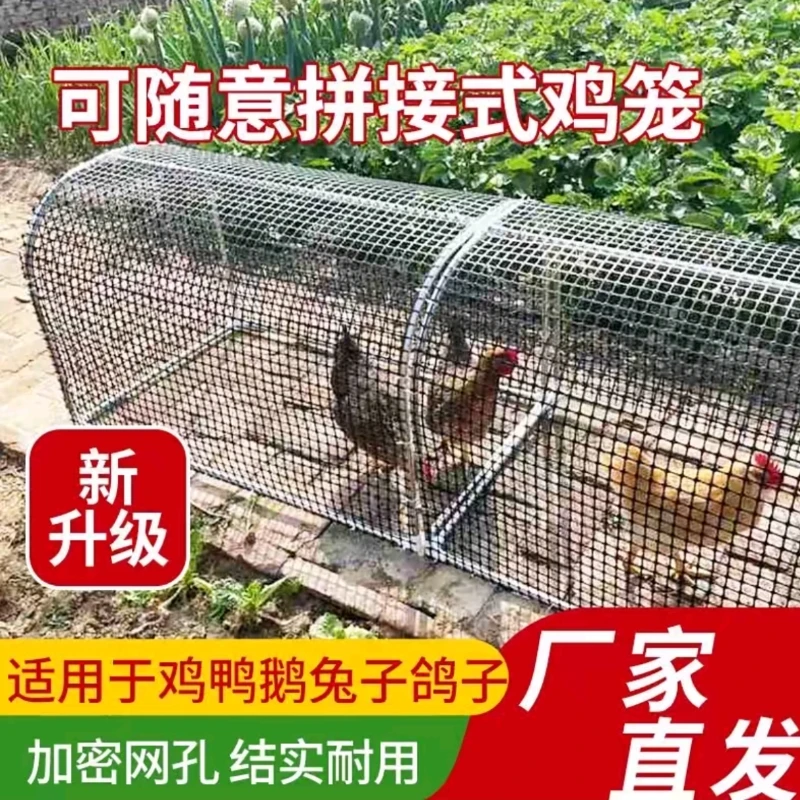 离地式养鸡笼跑道鸡舍鸡跑道无限延长方便打扫没有味道