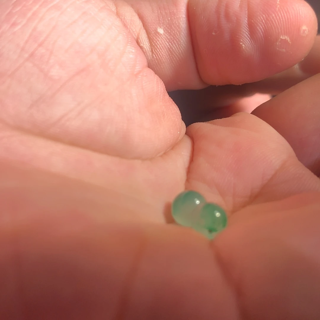 石英质玉（非洲翠）合金颈饰