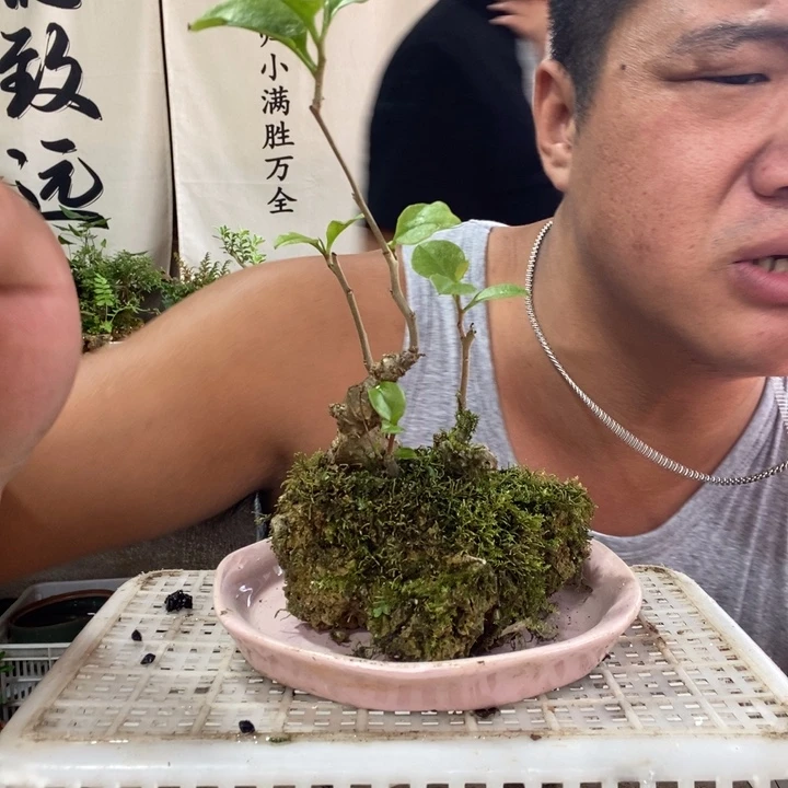 无花朵退款拉黑拉黑55