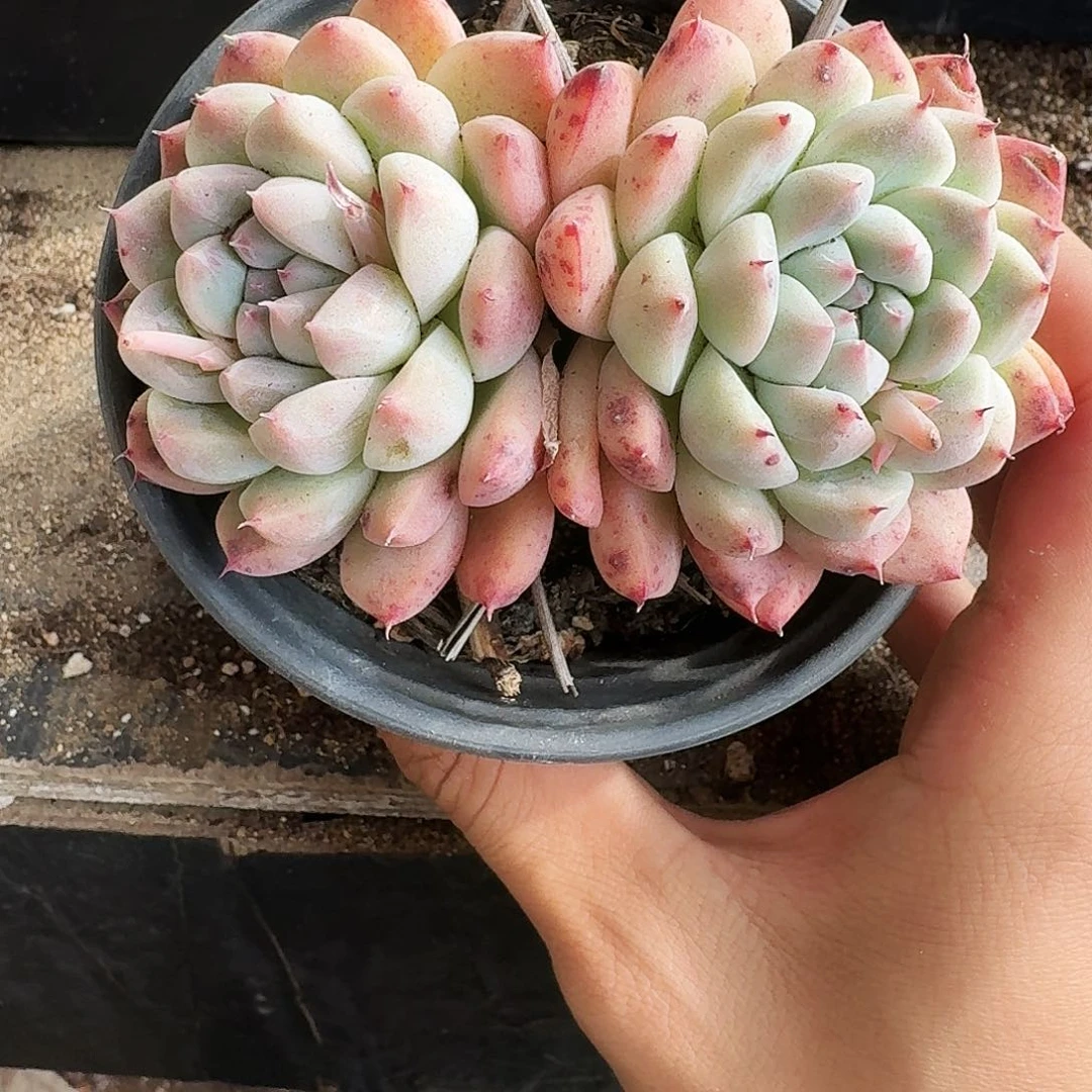 ?哈哈哈哈哈哈哈哈哈哈