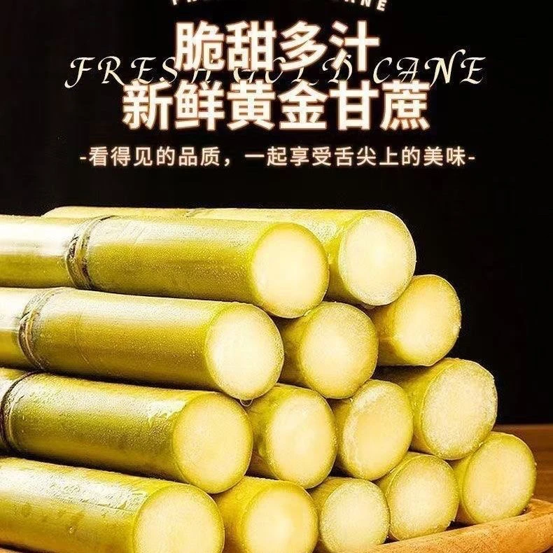云南黄金甘蔗现砍现发脆甜多汁新鲜当季水果肉厚皮薄产地直发