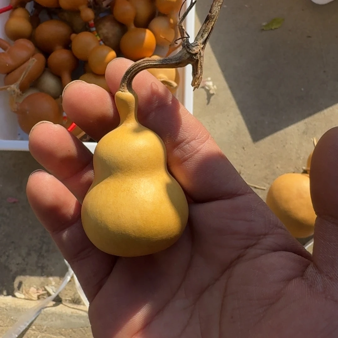 越***运那时候他不懂怎么把