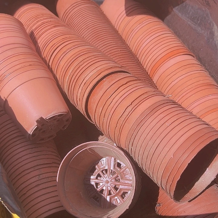 红色矮泡口径8高7发80个