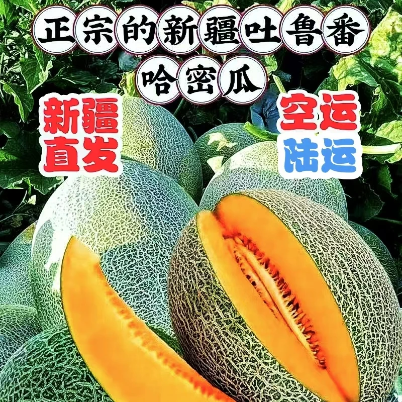 T 新疆吐鲁番哈密瓜西州蜜25号