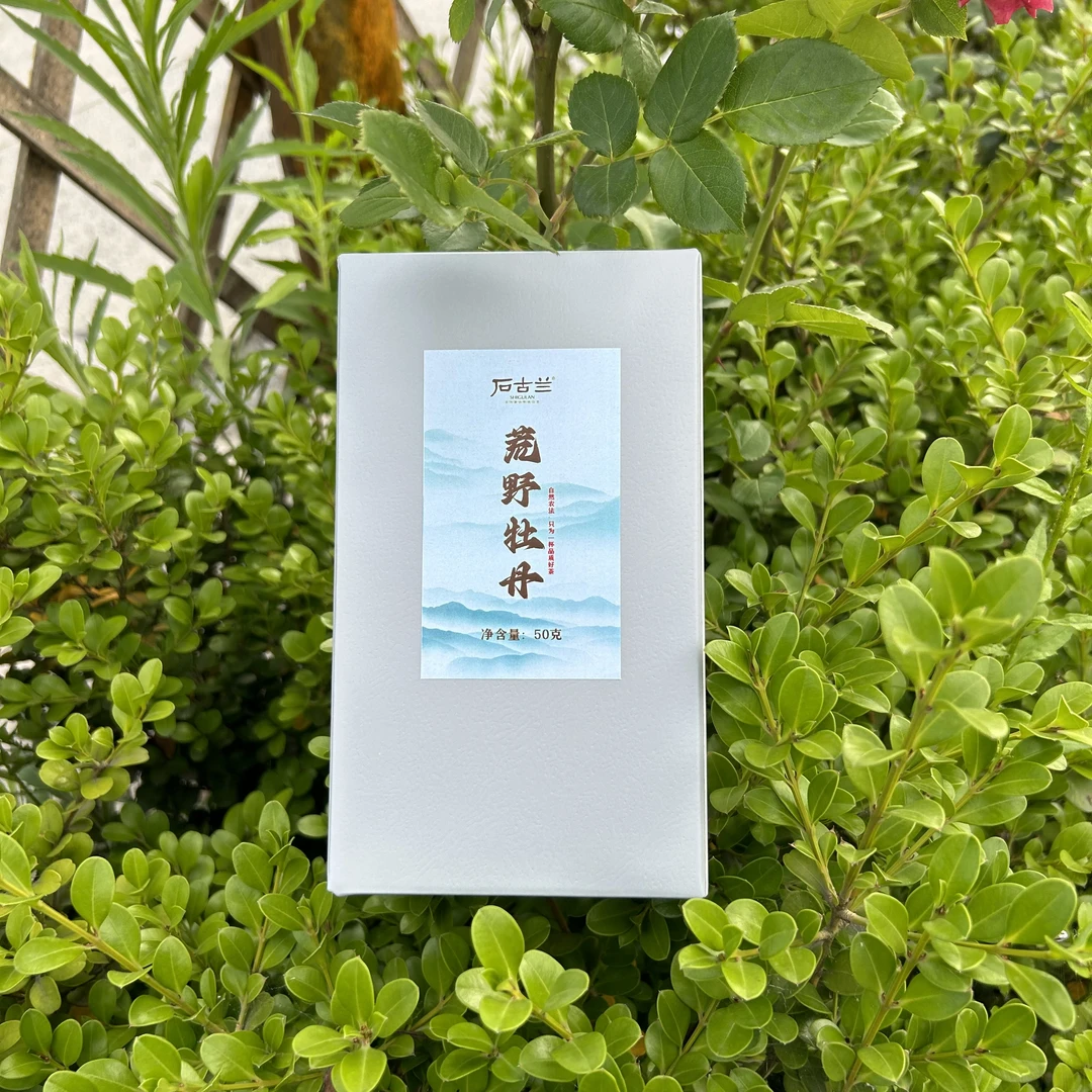 2024高山荒野牡丹300克
