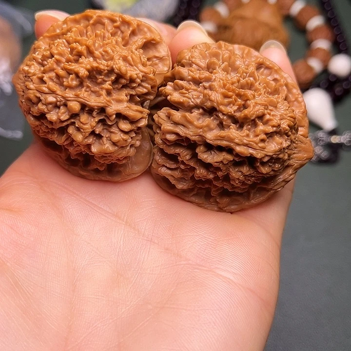 涞水山地果满天星全品43