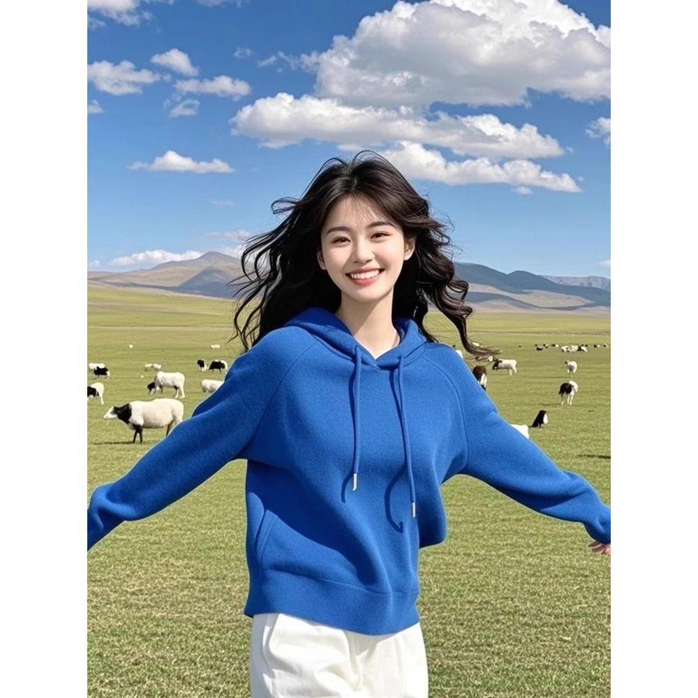 慵懒宽松克莱因蓝连帽针织衫女毛衣设计感小众秋冬超好看绝美上衣