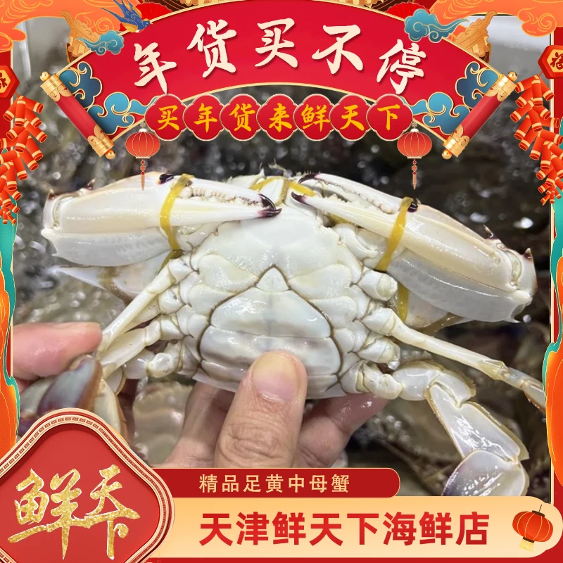 【保鲜不保活】东北精品足黄母蟹一斤3-5只左右 单只2-3两 掉爪