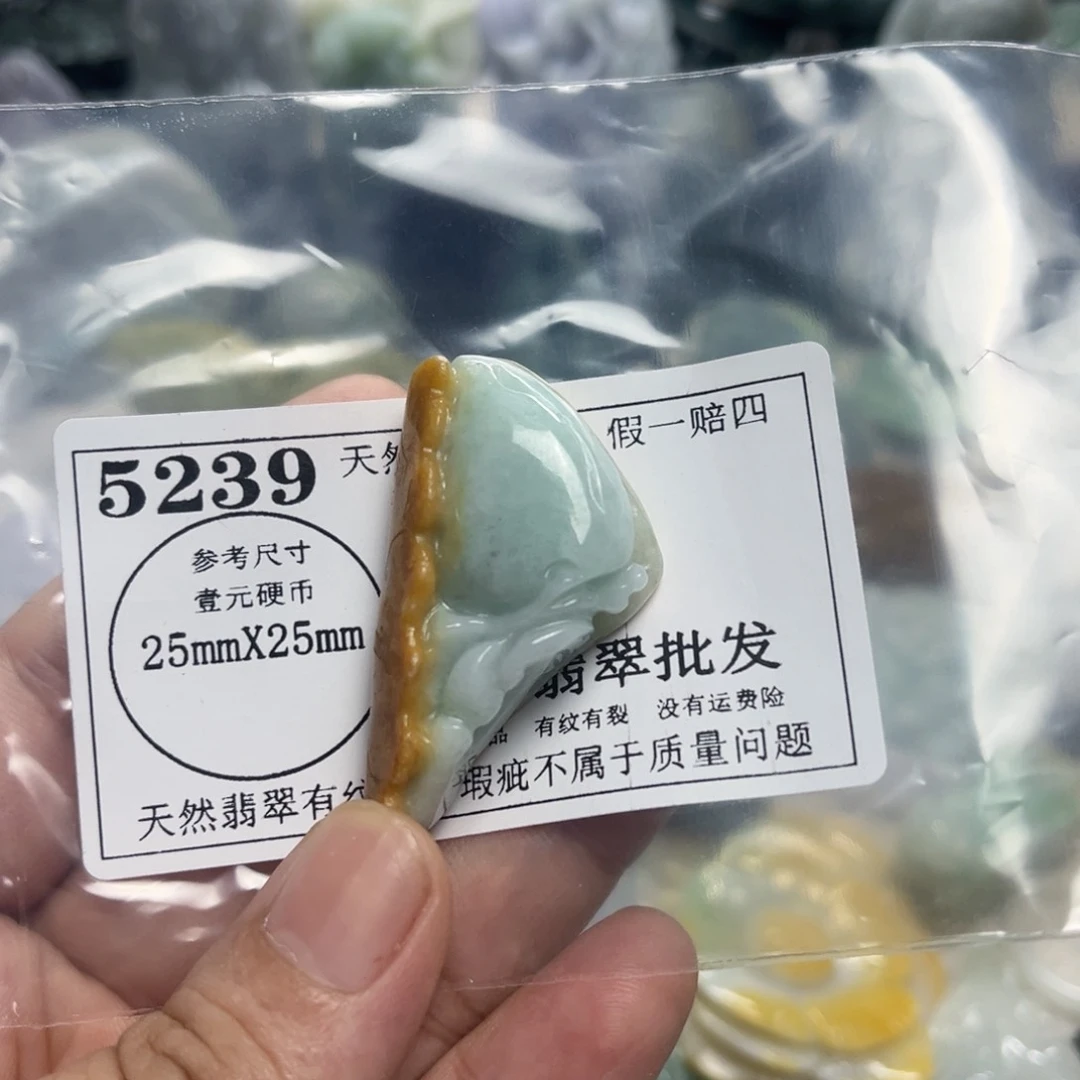 翡翠未镶嵌颈饰5239