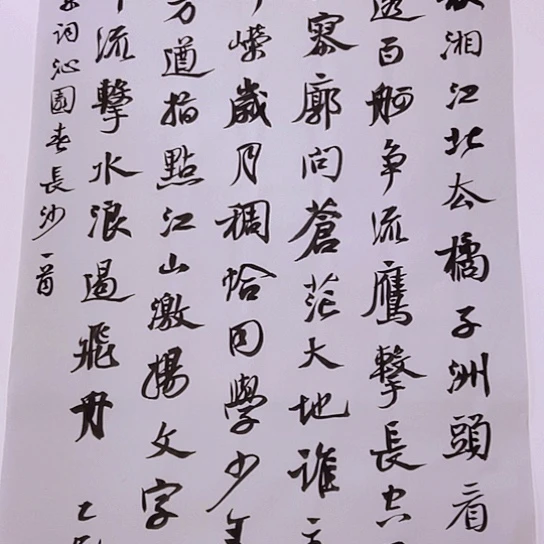 书法张建东老师书法作品