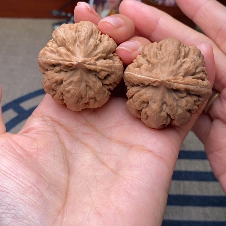 文玩核桃42霸王龙