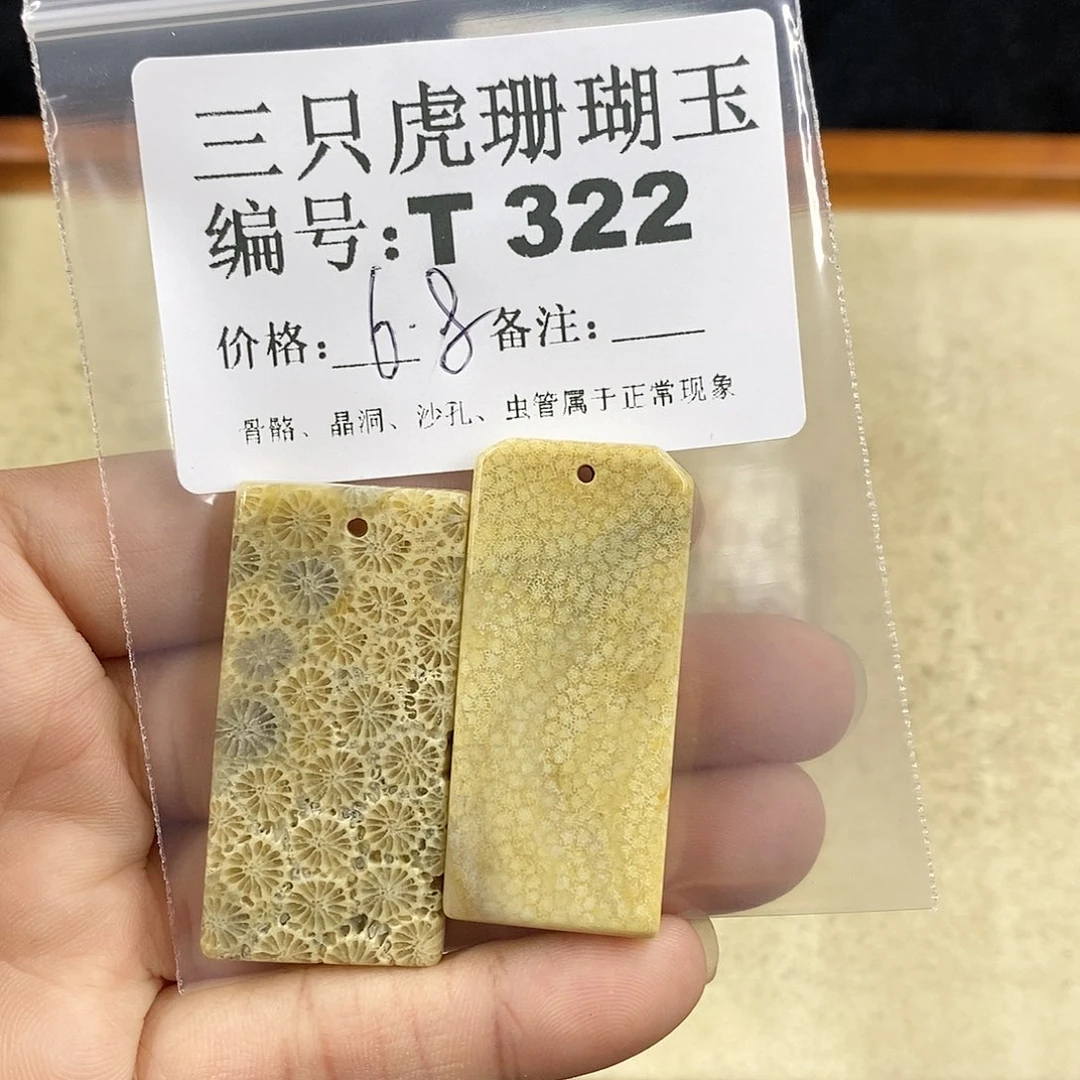 硅化珊瑚（珊瑚玉）1未镶嵌眼****海