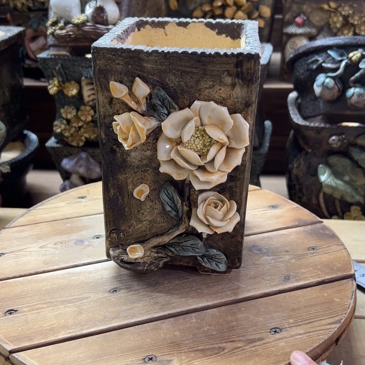 青藤多肉花盆百搭