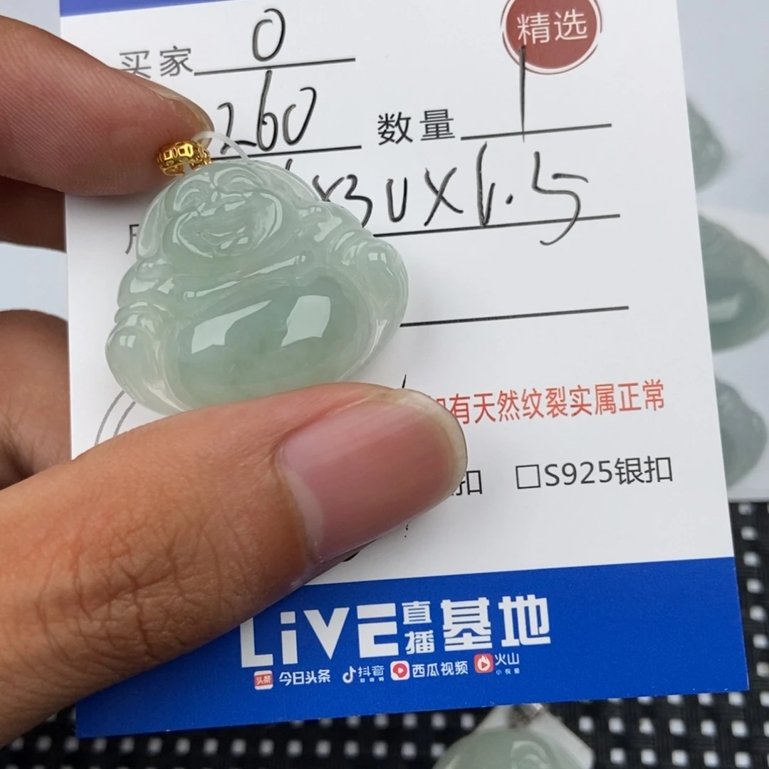 翡翠未镶嵌颈饰O****a吊坠