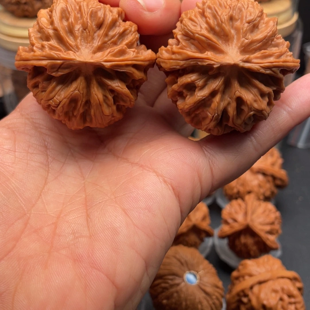 吊坠猴头核桃苹果园