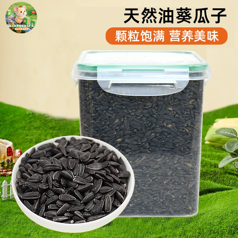 仓鼠油葵瓜子零食黑瓜子磨牙金丝熊零食黑瓜子金丝熊黑瓜子花枝鼠