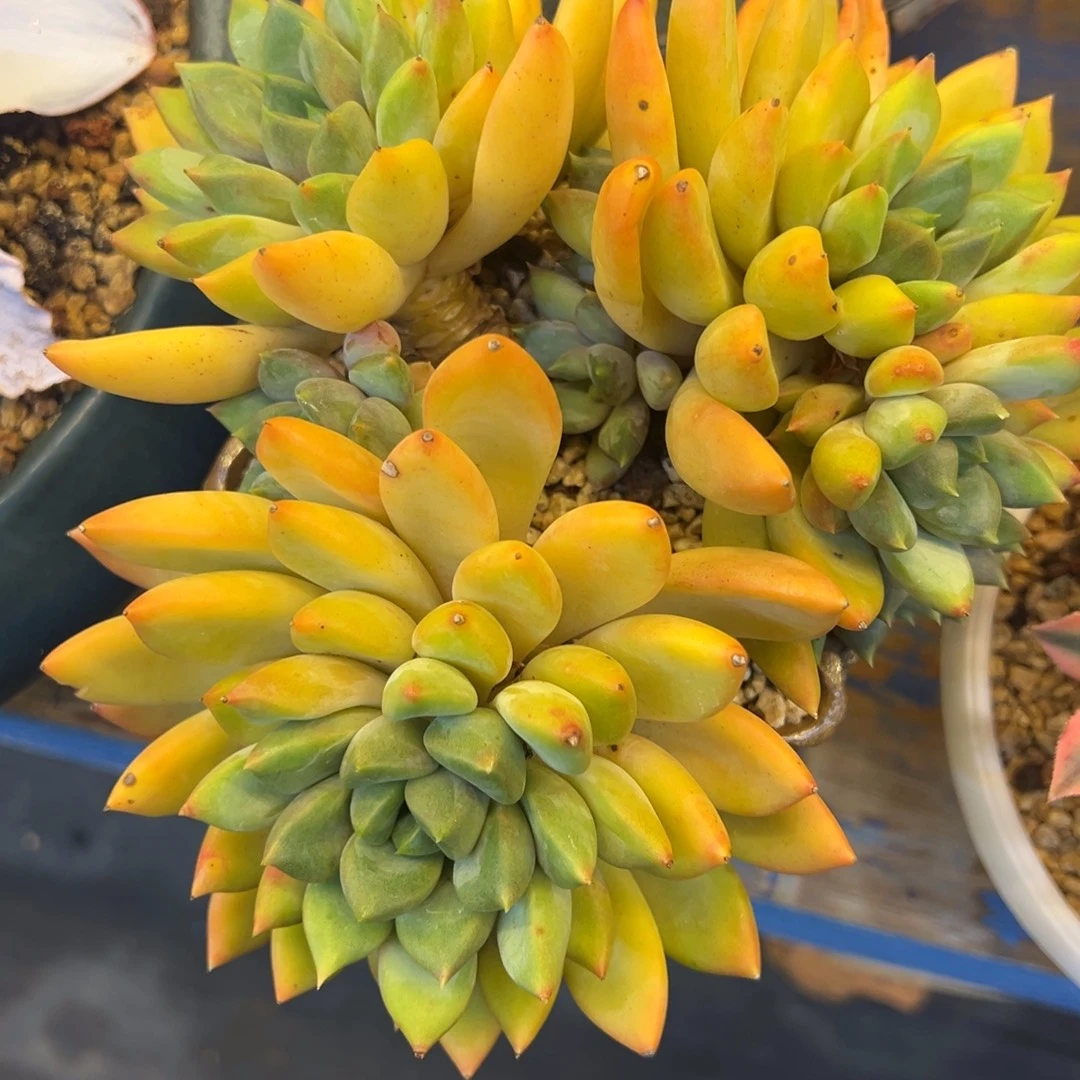 ，，，，，，，，，，，，，，，，，，，，，，，，，，，，