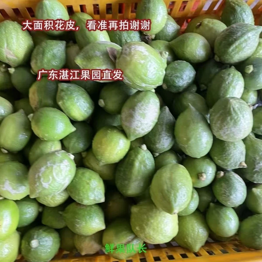 三级花皮果黄果正宗无籽广东香水柠檬当天采摘产地直发奶茶店专用