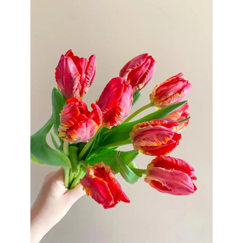 洛可可--郁金香--收到先醒花（实物以直播间展示为准）优质插花定制