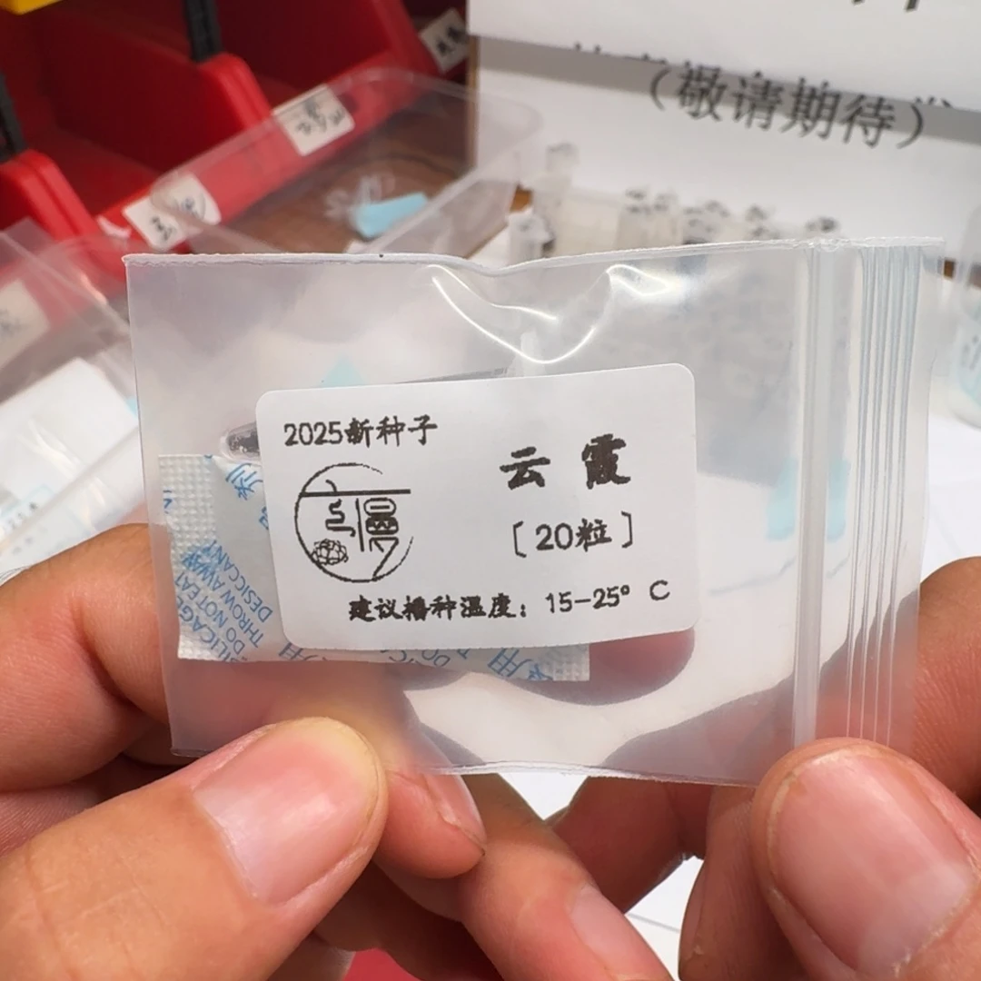 氧****如图云慢花坊2025年新种子20粒