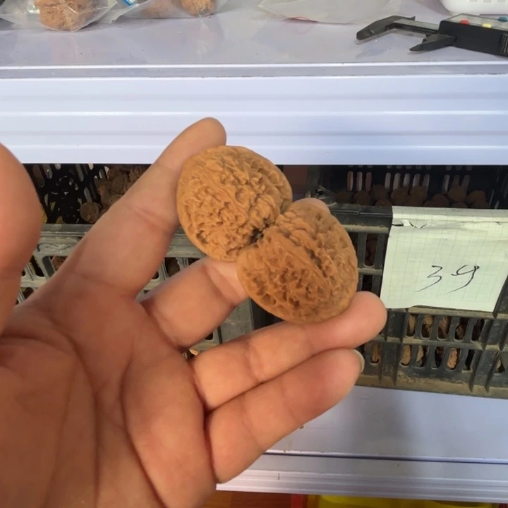 1***3大叶紫檀（黑酸枝木类）