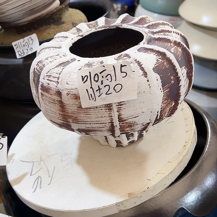 景德镇精品花盆栽适，