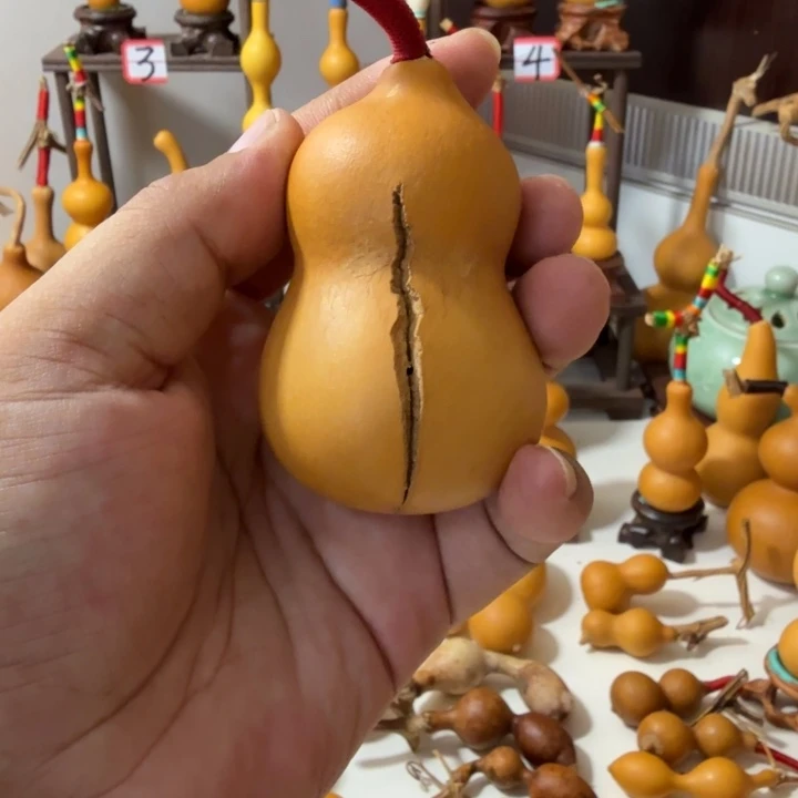 一***狗这个世界没有什么