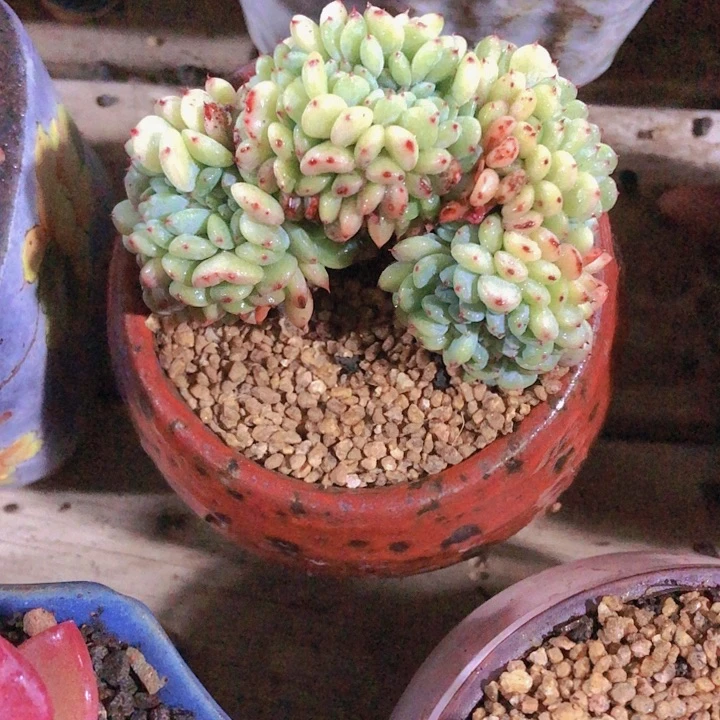 【闪购商品】曾*曾曾