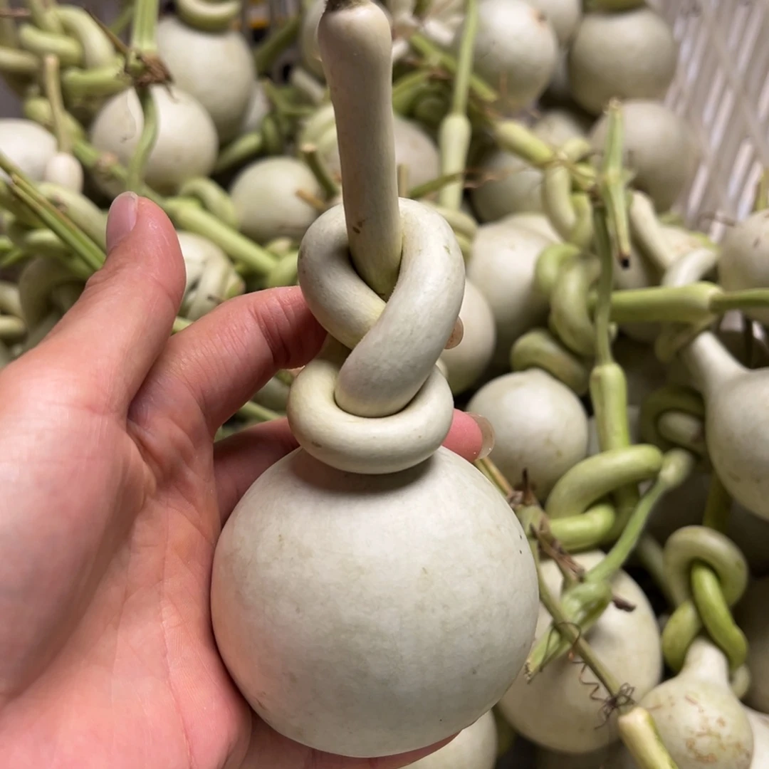 炒***士一物一拍一我一人