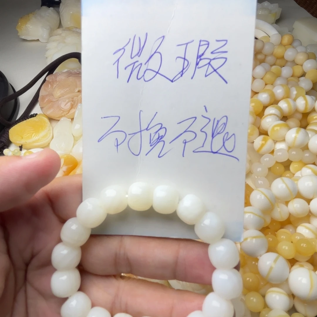 美***）贝壳非金属天然贝壳