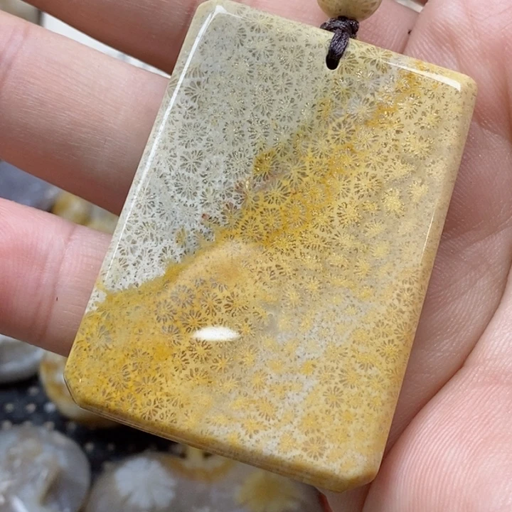 颈饰未镶嵌硅化珊瑚（珊瑚玉）