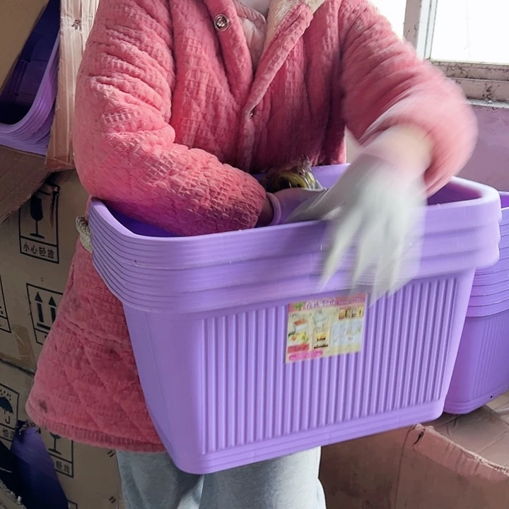 塑料瑕疵菜盆500#紫色3个无托