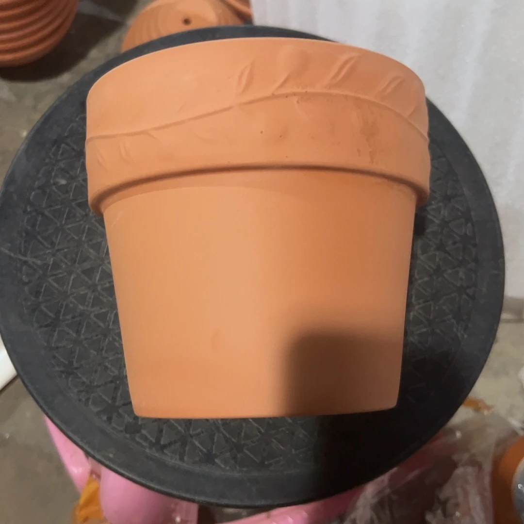 橄榄16口14高1个【微瑕】