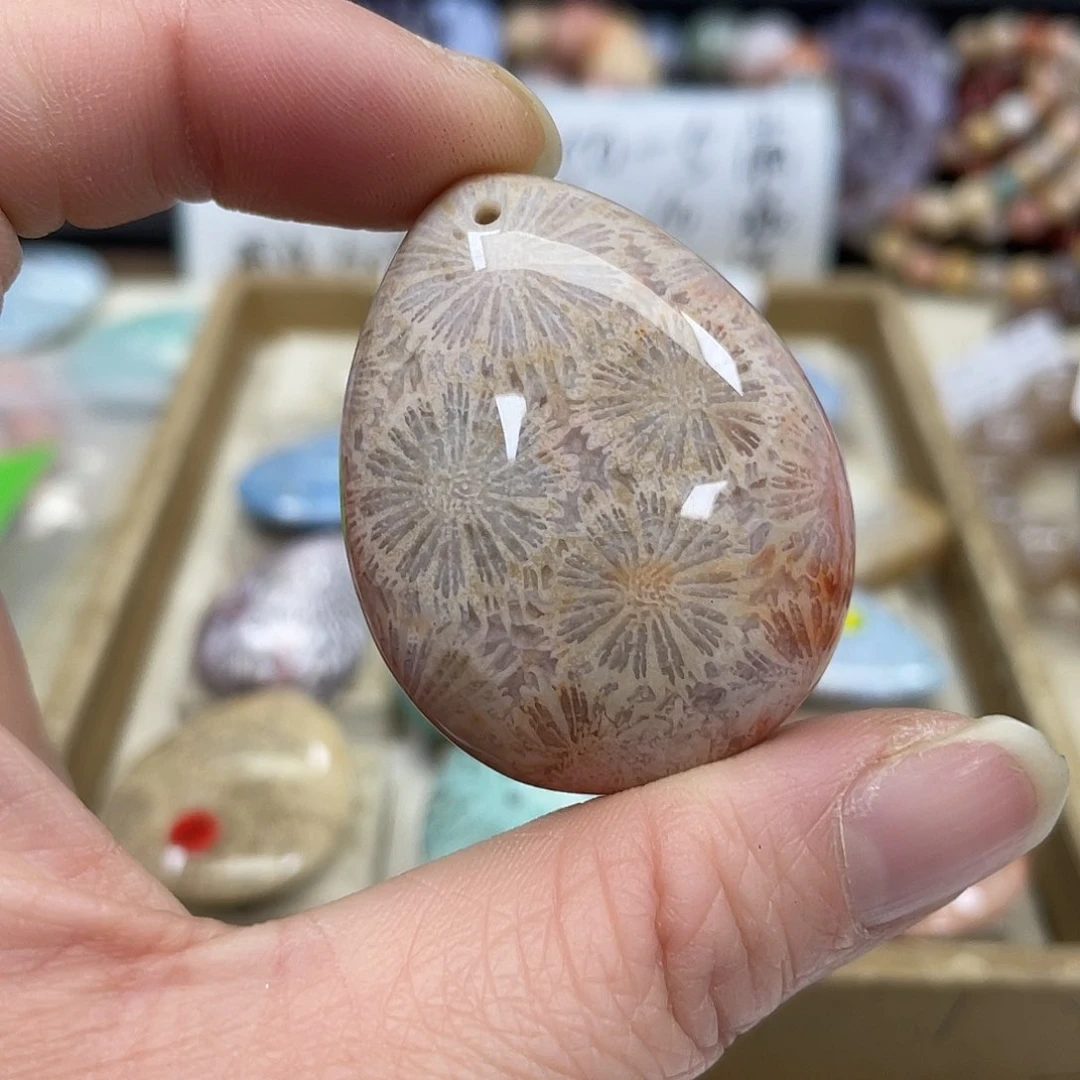 未镶嵌手串硅化珊瑚（珊瑚玉）青*474