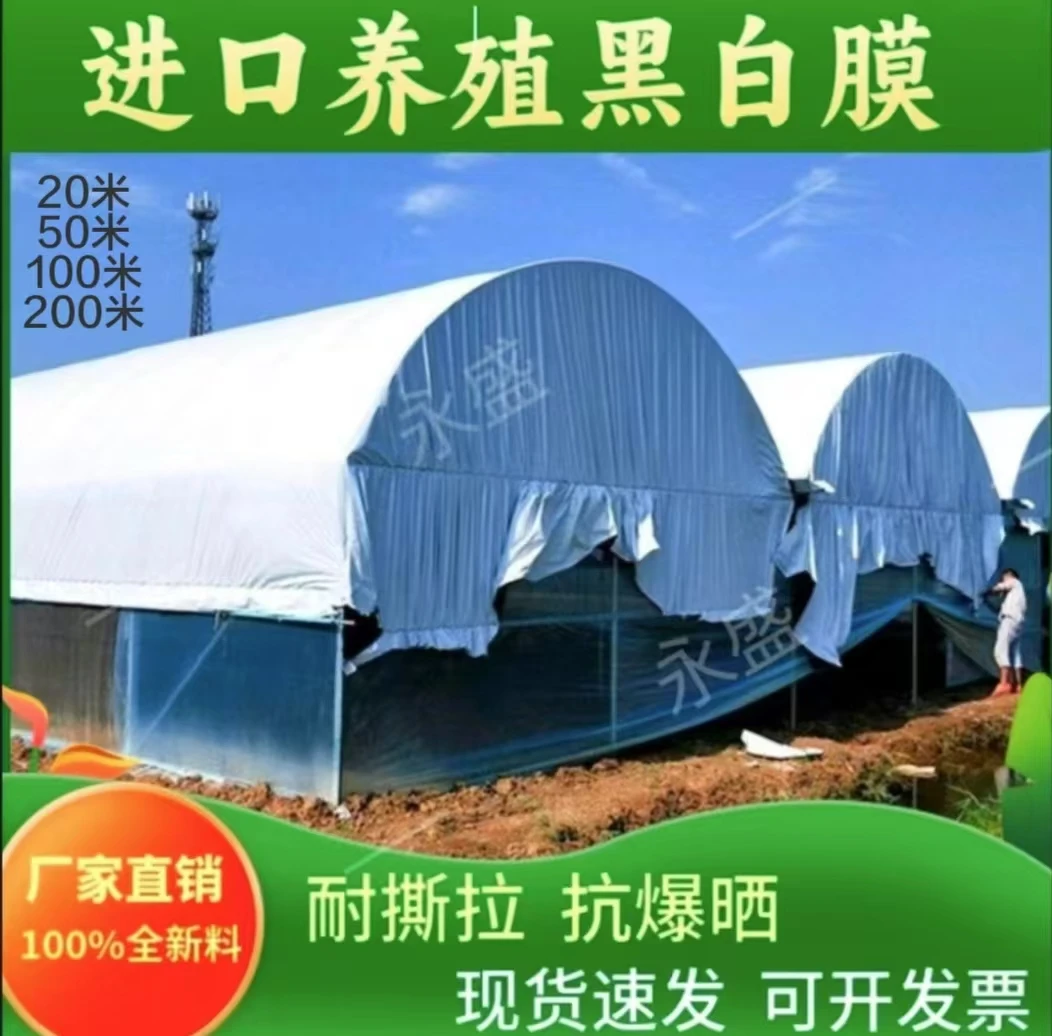 耐撕抗拉黑白反光膜进口料加厚耐爆晒养殖棚黑白膜疏菜种植塑料膜
