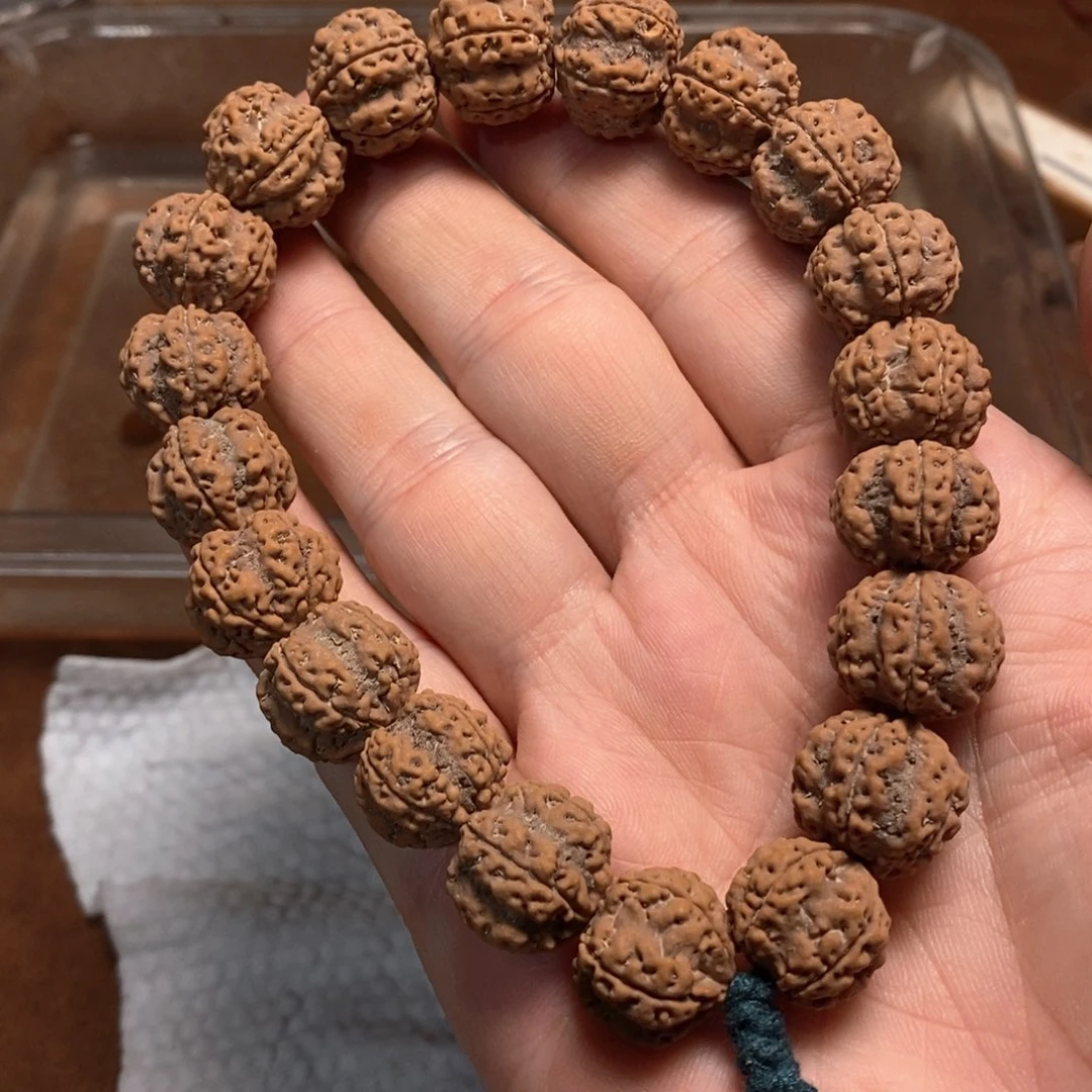 金刚菩提手串龙牙梅花小金刚大尺寸呢带果肉