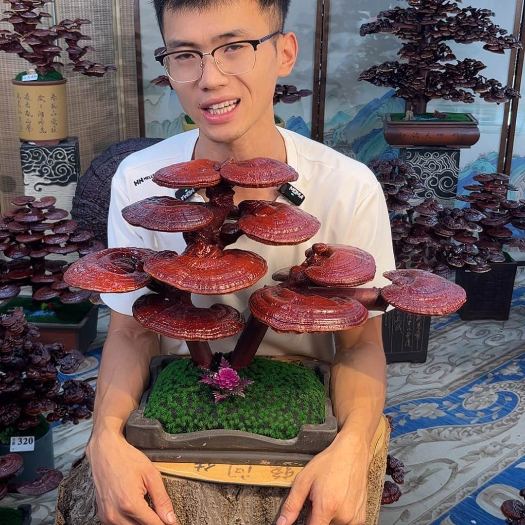 无花朵888888888888