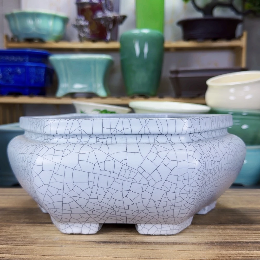 陶瓷花盆特价上新