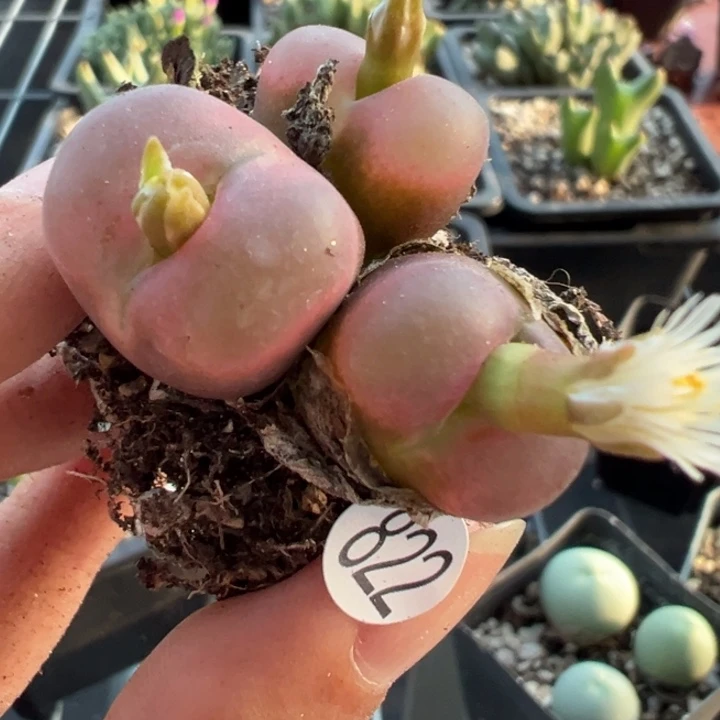 822号11111111111111