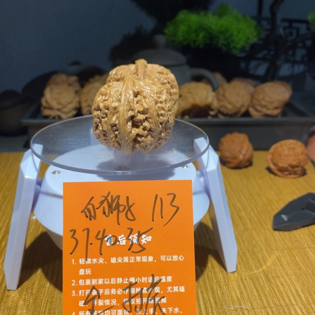 文玩核桃把件37白狮子全品打底113