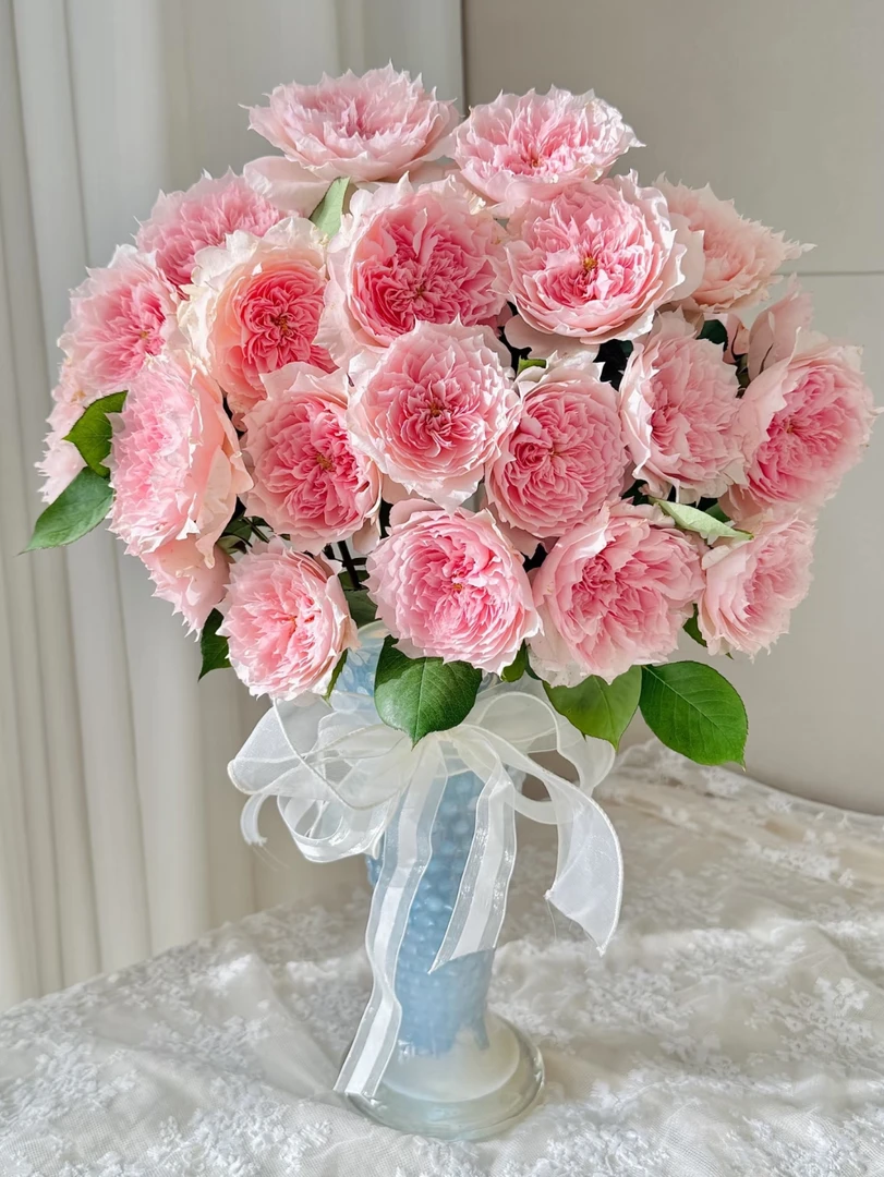 【悠米花】莫尼卡戴维单头10支