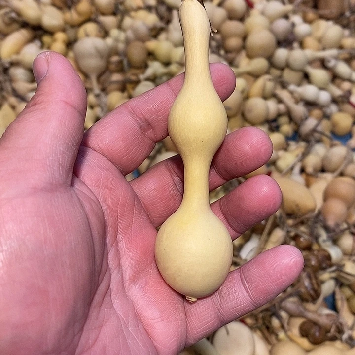 D****罕精品葫芦手把葫芦15