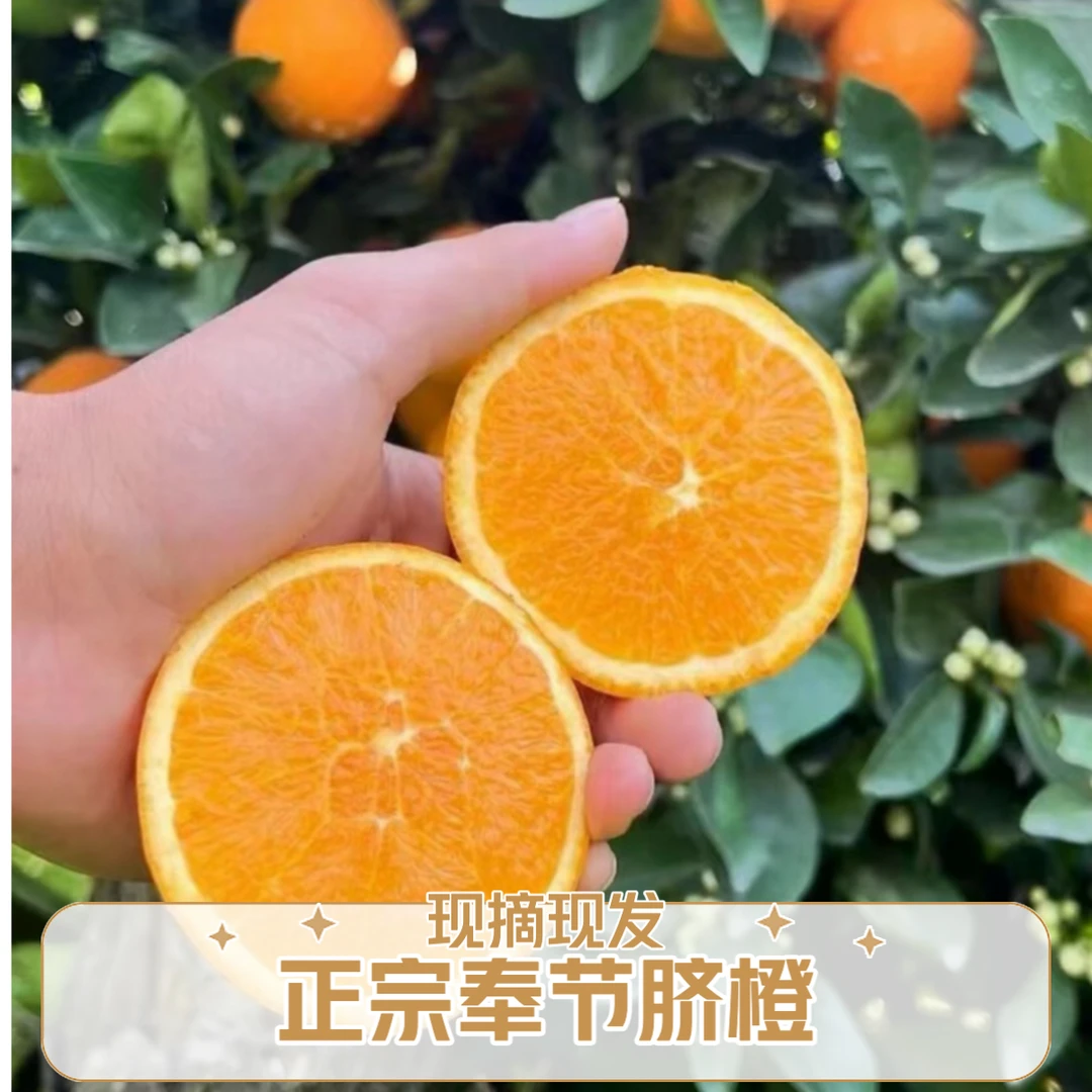 正宗奉节脐橙新鲜现摘现发5/10/20斤脆甜爆汁橙子孕妇水果细腻鲜