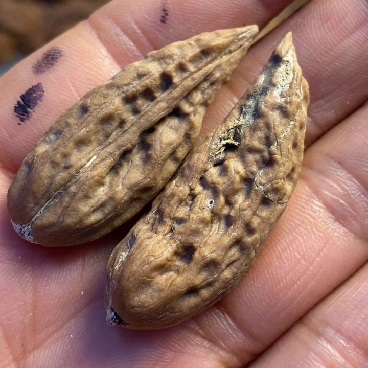 文玩核桃吊坠拿姐工拿姐工艺62