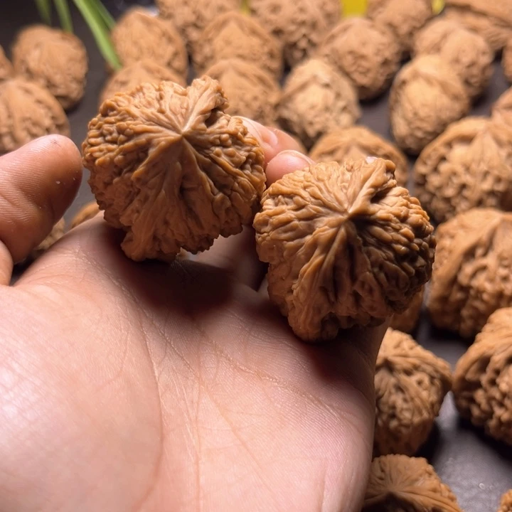 燃***毛南疆石南疆石南疆39