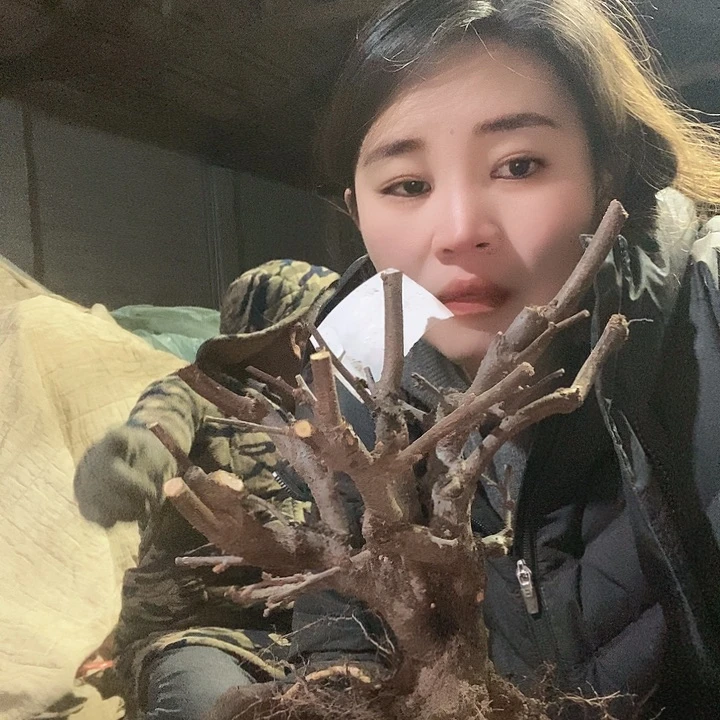 完全开放梦**上111111114