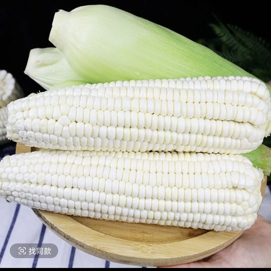 新鲜白糯玉米香甜软糯可口带皮玉米棒现摘现发